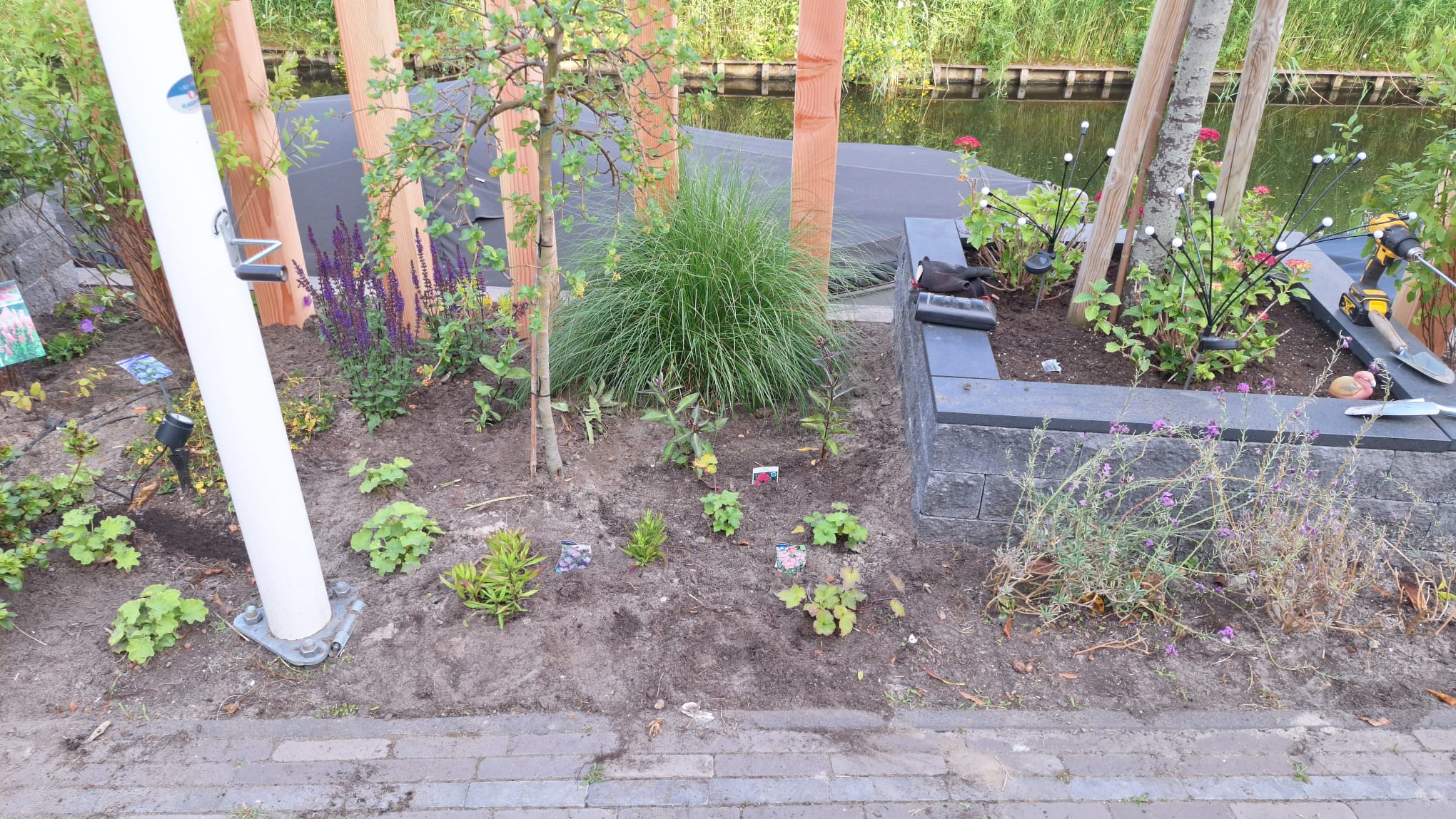 Achtertuin met nieuwe beplanting in Rijnsburg