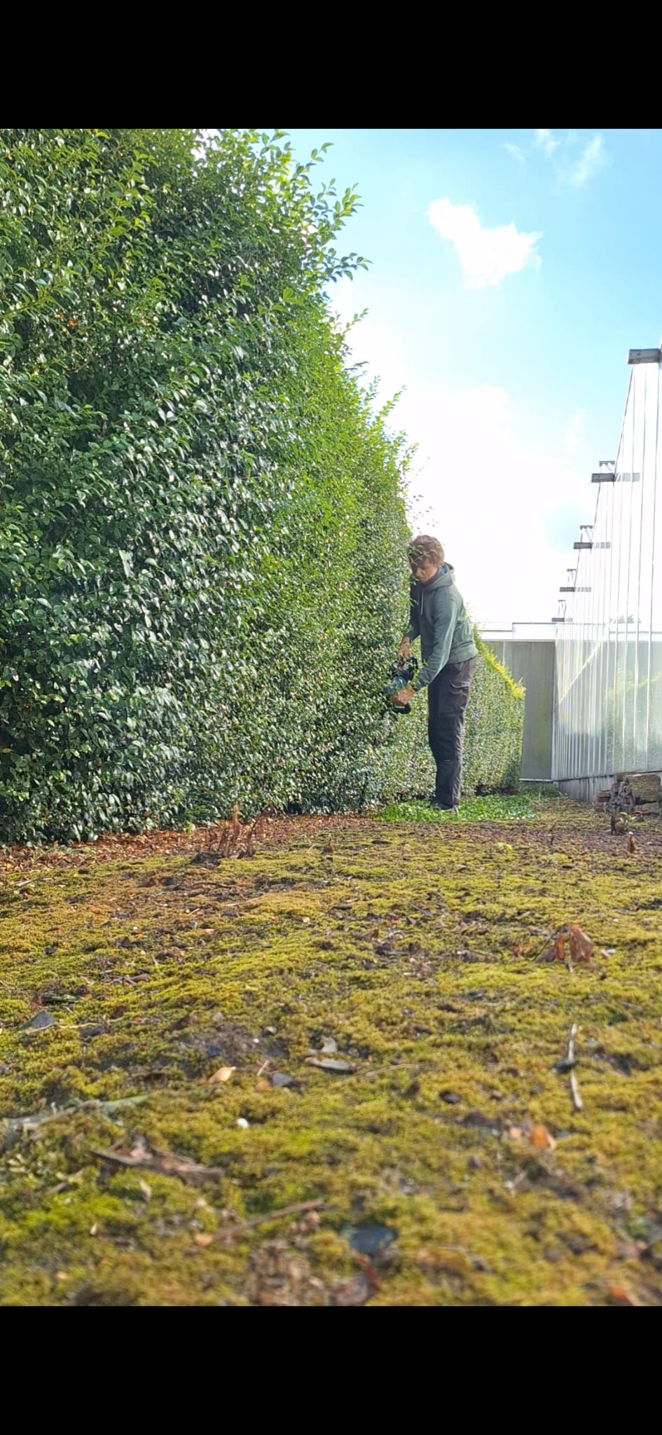 Wytse aan het werk tijdens tuinonderhoud